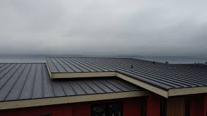 Best Rubber Roofing (EPDM, TPO)  in Glenmoor, OH